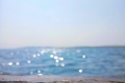 a close up of a piece of wood with water in the background